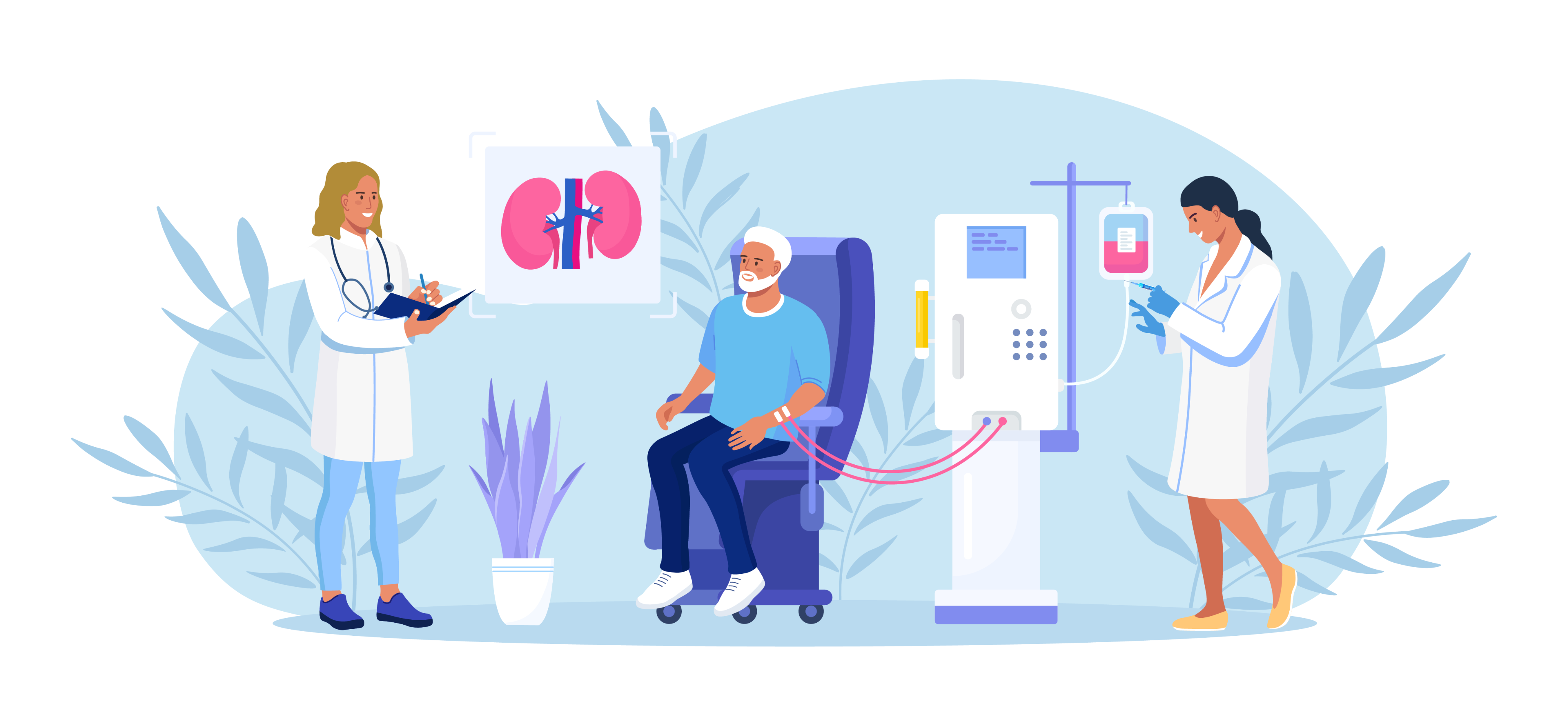 Insuffisance rénale chronique hémodialyse dialyse péritonéale greffe rénale soins en Nouvelle-Aquitaine